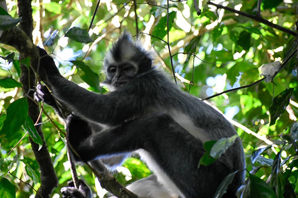 Visit North Sumatra From France