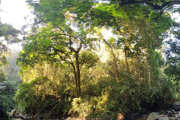 Visit North Sumatra From France