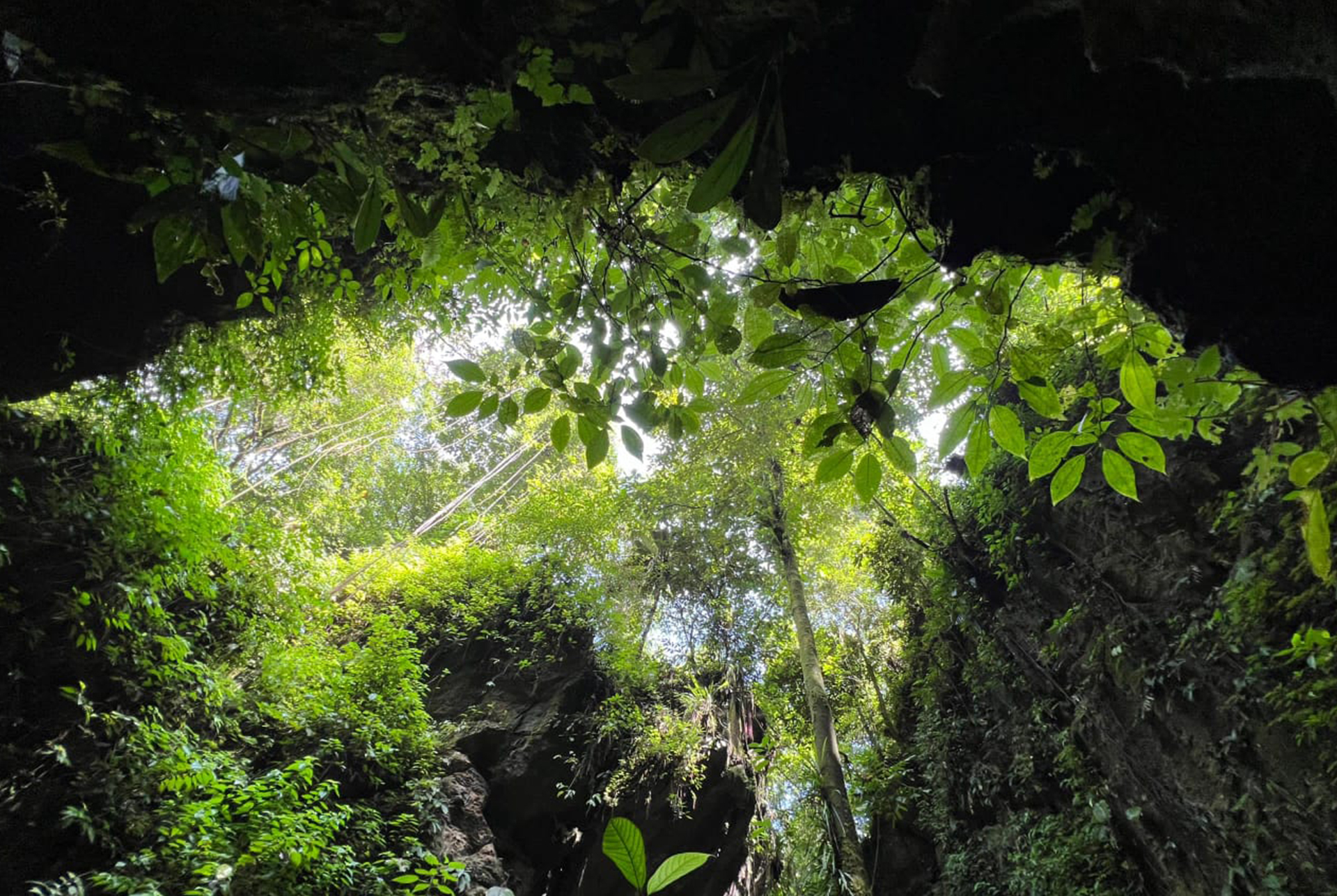 Bukit Lawang Tour From Denmark
