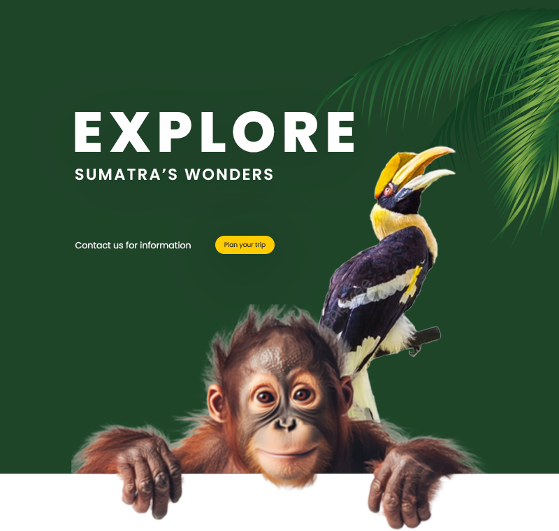 Backpacking Sumatra From England