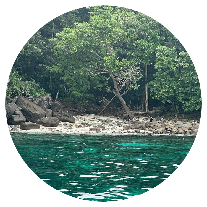 Sumatra Orangutan Trekking From Amsterdam