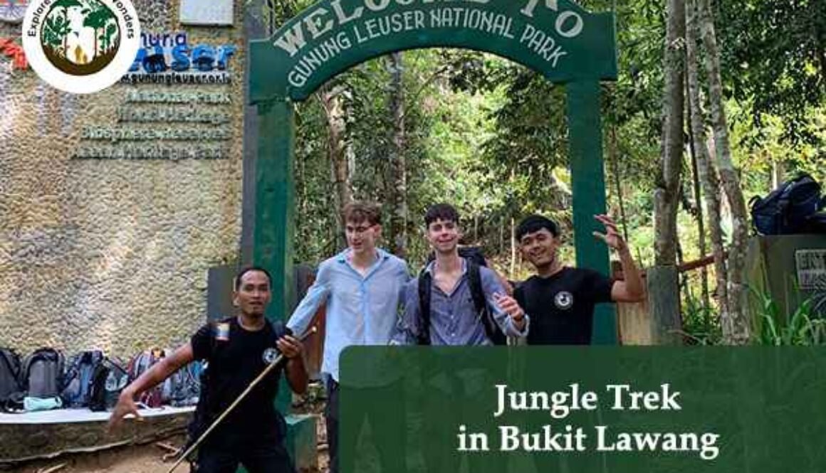 Jungle Trek in Bukit Lawang