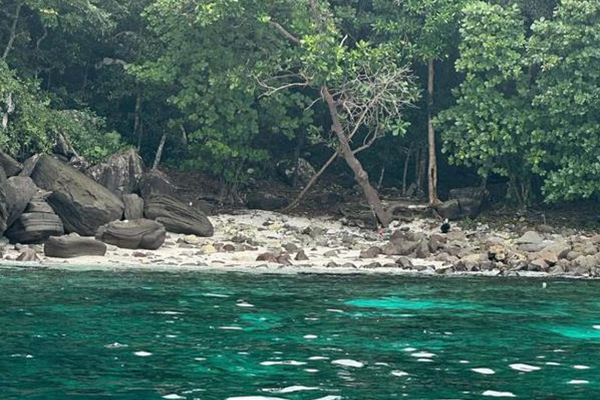 Orangutan Tours Sumatra Europe