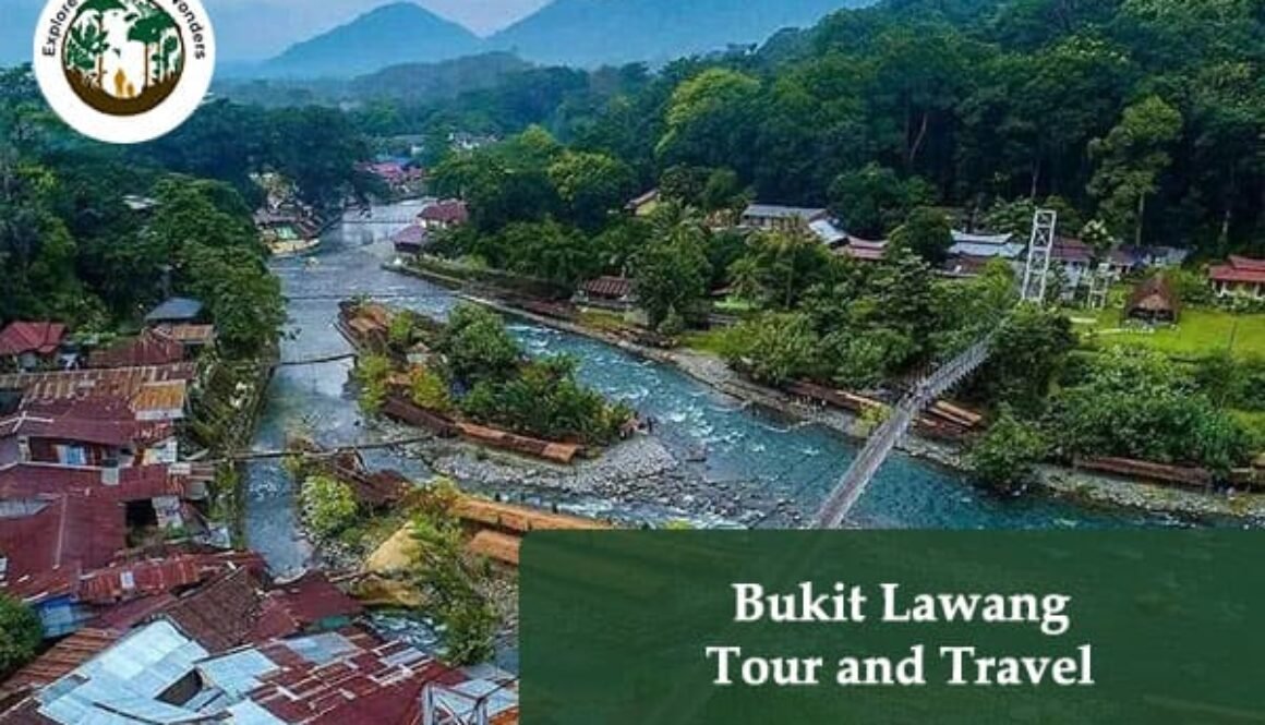 Bukit Lawang Tour and Travel