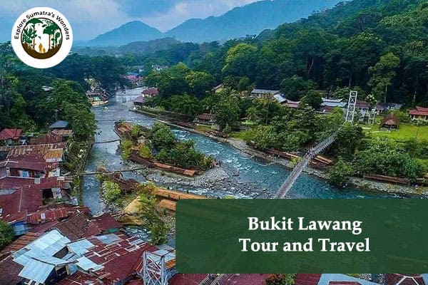 Bukit Lawang Tour and Travel