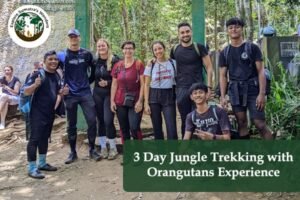 3 Day Jungle Trekking with Orangutans Experience