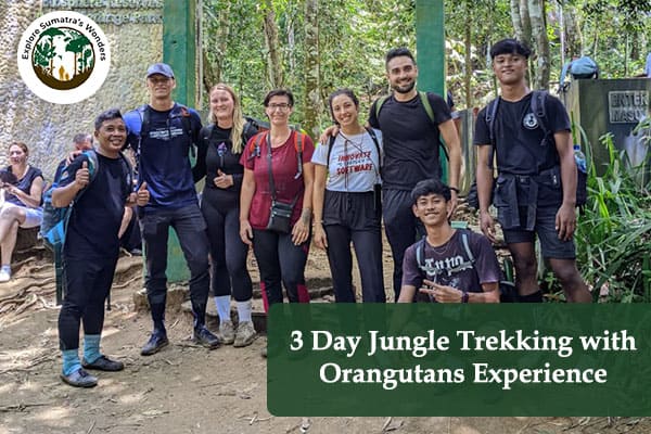 3 Day Jungle Trekking with Orangutans Experience