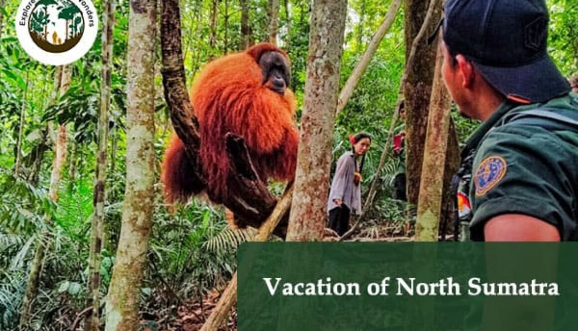 Vacation of North Sumatra
