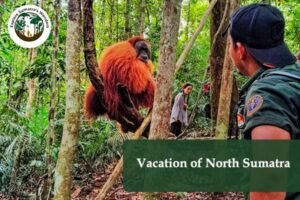 Vacation of North Sumatra