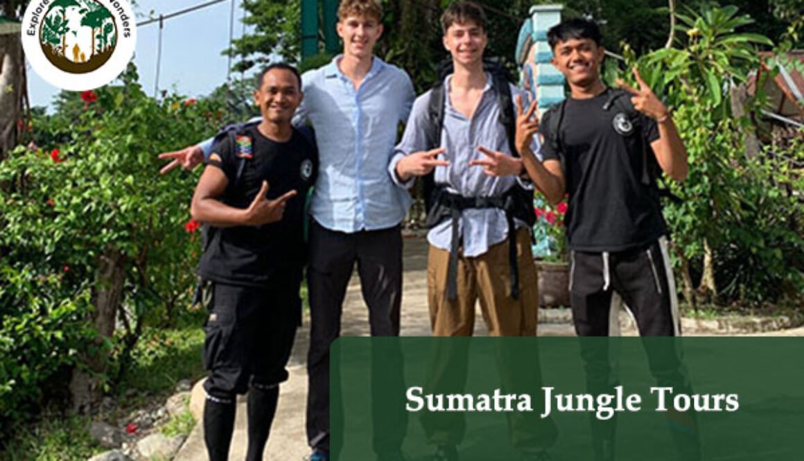 Sumatra Jungle Tours