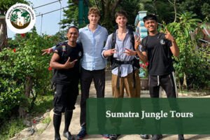 Sumatra Jungle Tours