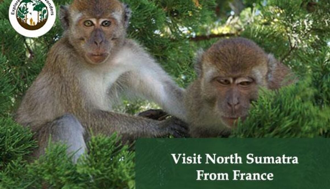 Visit North Sumatra From France