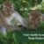 Visit North Sumatra From France