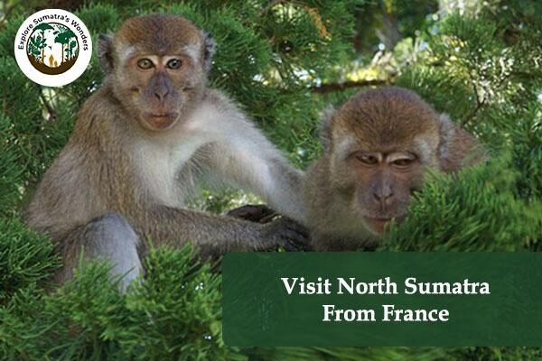 Visit North Sumatra From France