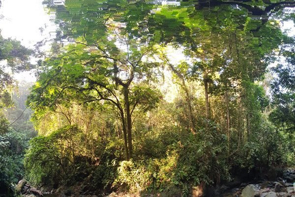 Visit North Sumatra From France